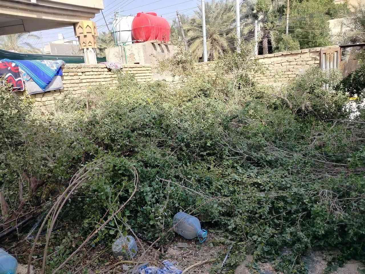 الريد حطب خلي يجي وياخض ***********
