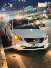 فول مواصفات • ٢٠١٥ • كربلاء