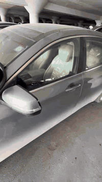 ✅ تجربه الزبون ✅                                                      ...