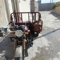 ستوته • ٢٠٢٠ • أوراق كاملة