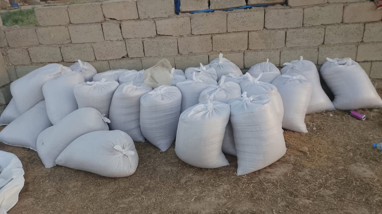 بذور البا
السلام وعليكم بذور البا جيل ثاني  الحبايه واختها

مكيس كامل مع اقراص قوارض وحشرات حاظر للبذر فقط

انتاجها السنه ١٨٥٠ بالدونم

سعر  ٥٥٠ وبيها مجال بسيط حك جيتك

كميتها محدوده

للتواصل خاص 

او الاتصال على ***********
