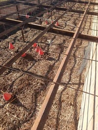 زاويه للبيع العدد 660متر 07710628830