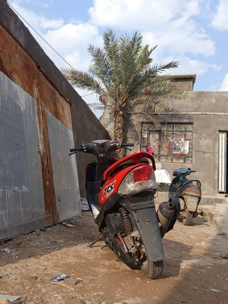 ماكس عنوان ابو لخصيب كلشي مابيهه سعر 550بيهه مجال وذا اكو مراوس ***********
