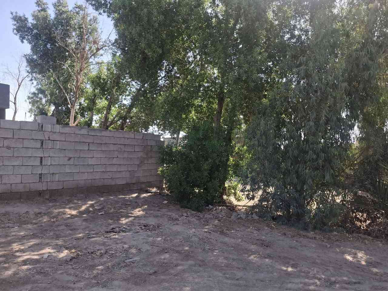 بيت للبيع غرفتين وصاله وستغبال ومطبخ خراجي وداخلي مساحته 750 متر جاهز بناء اابلوك مع محلات عدد 2 وااجه 15متر شارع عام قرب معمل التنانير طابو زراعي  للاستفسار ااكثر الاتصال ***********
