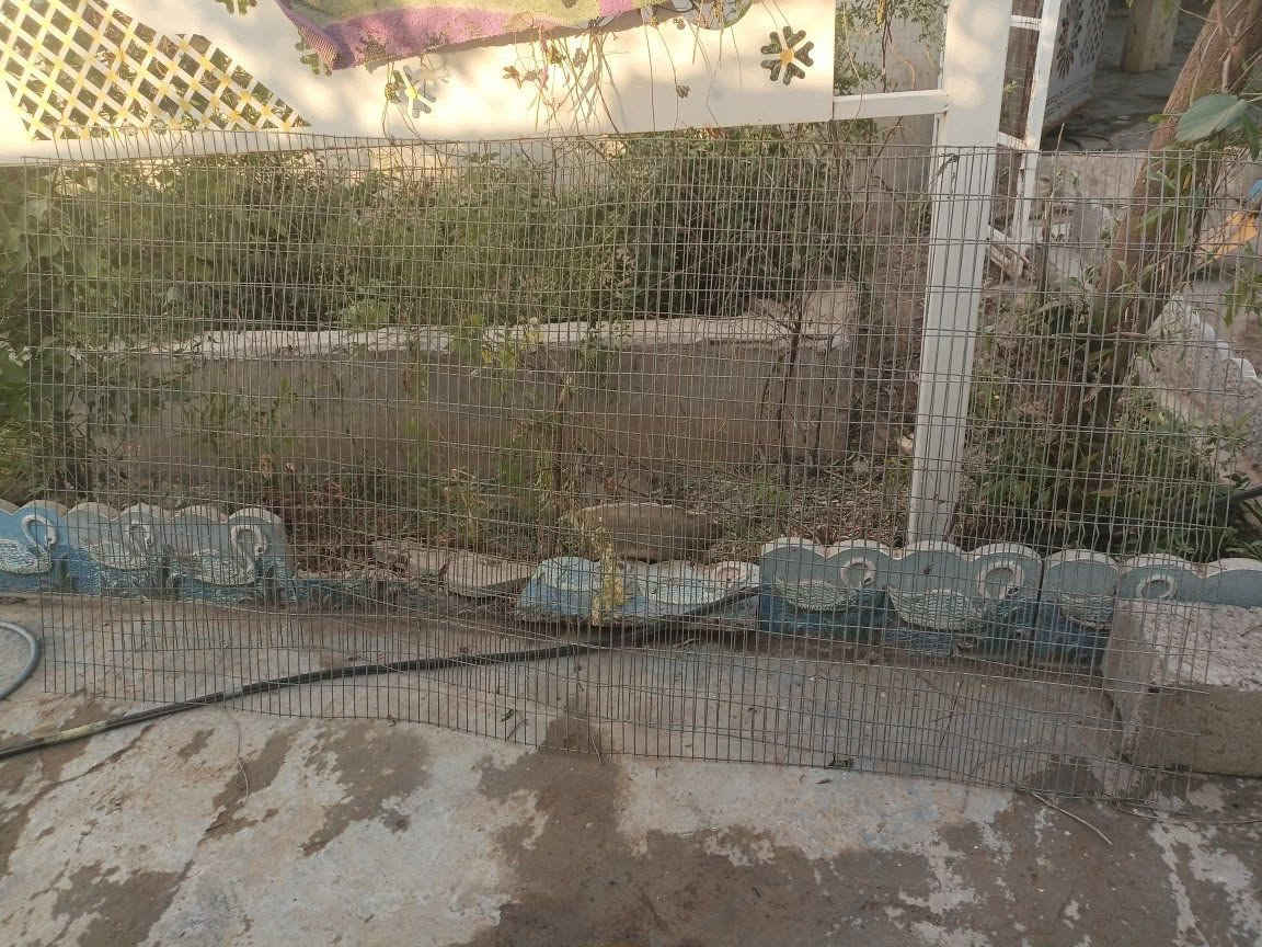 باب حديقة 
هاسكي مال اقفاص خمس طبقات 
واربع روطات ثقيل طول 2 ونص 
***********
