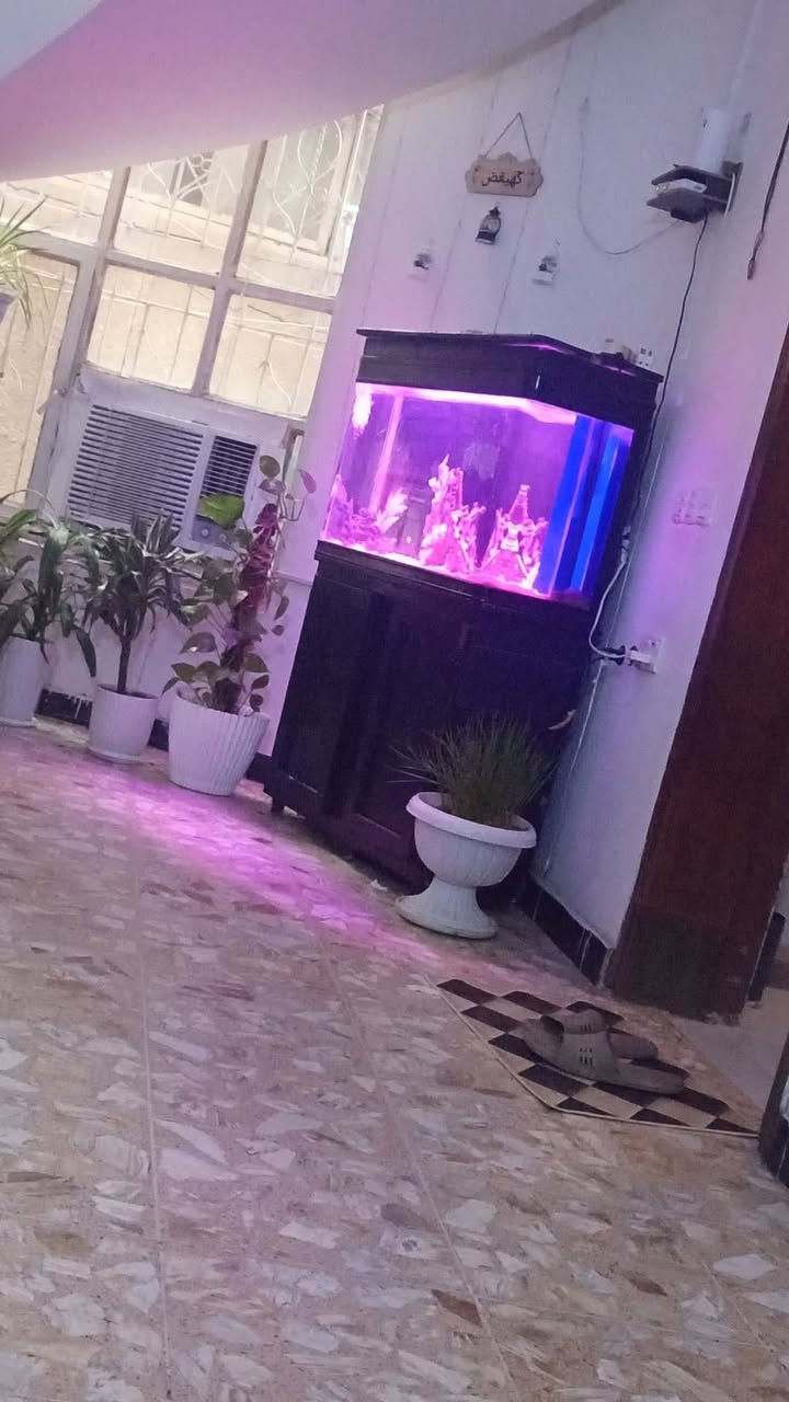 السلام عليكم متاح حوض اسماك كامل الملحقات نظام فلتر سامب قياس عرض ٩٦ الارتفاع ٦٠ النزال ٣٧ السعر 200 الف مكان بغداد حي الجهاد ***********
