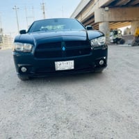 جانجر 12 للبيع مال بيت كفاله بس صبغ كلير كفاله هيه ودعمياته سنويه جديد...
