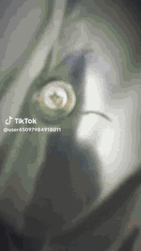 ماكس عدله للبيع 55شلعه ومعدل تشك الكاع سلف وهندر كهربائيات كلها شغاله الدراجه متعوب عليها غراضها كامله السعر 700 وبيها مجال لموشراي ليعلق متواجد خاص


**إذا كنت صاحب هذا الإعلان وتريد حذفه لأي سبب، رجاءا أرسل رسالة إلى الدعم الفني**