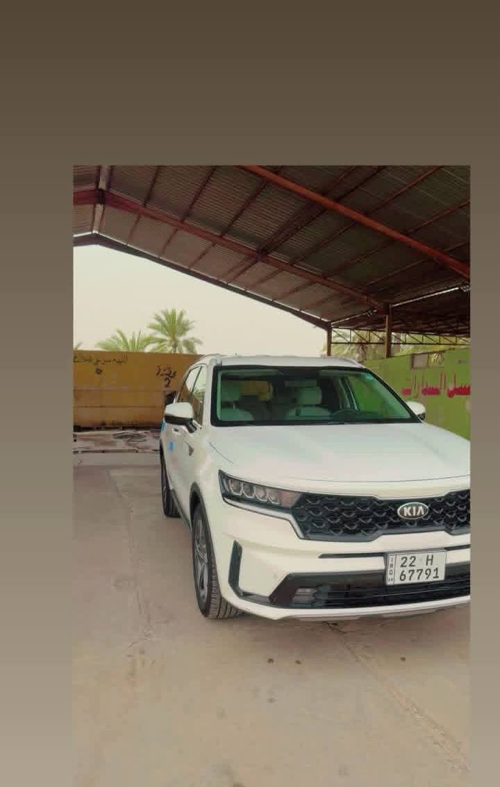 سورنتو 2021 للبيع ✅  السعر 245 ✅
فول ماعدا البنراما 

6 سلندر 3500

تشغيل عن بعد 

كير ماوس

رقم اربيل تحويل وكاله 

المكان واسط الحفريه قرب محطه الغياث 

الرقم ***********

