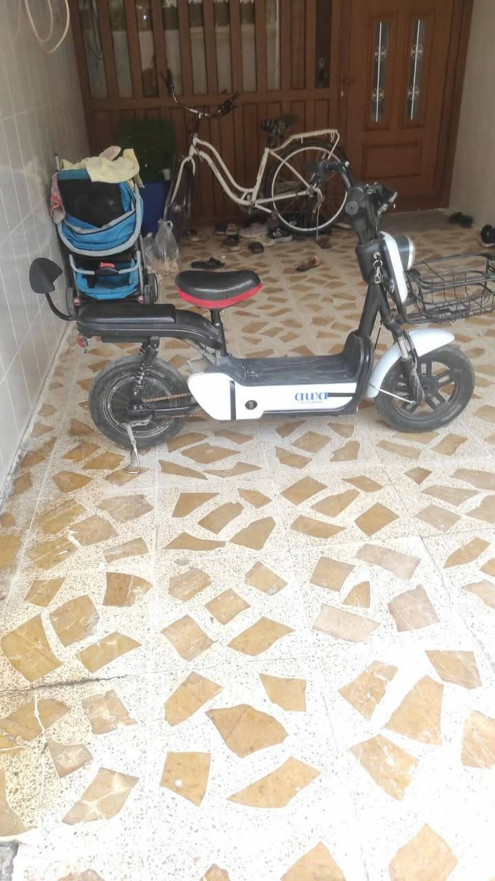 بايسكل نظيف البطارية عاطله ينرادلهه تبديل أربيل, العراق


**إذا كنت صاحب هذا الإعلان وتريد حذفه لأي سبب، رجاءا أرسل رسالة إلى الدعم الفني**