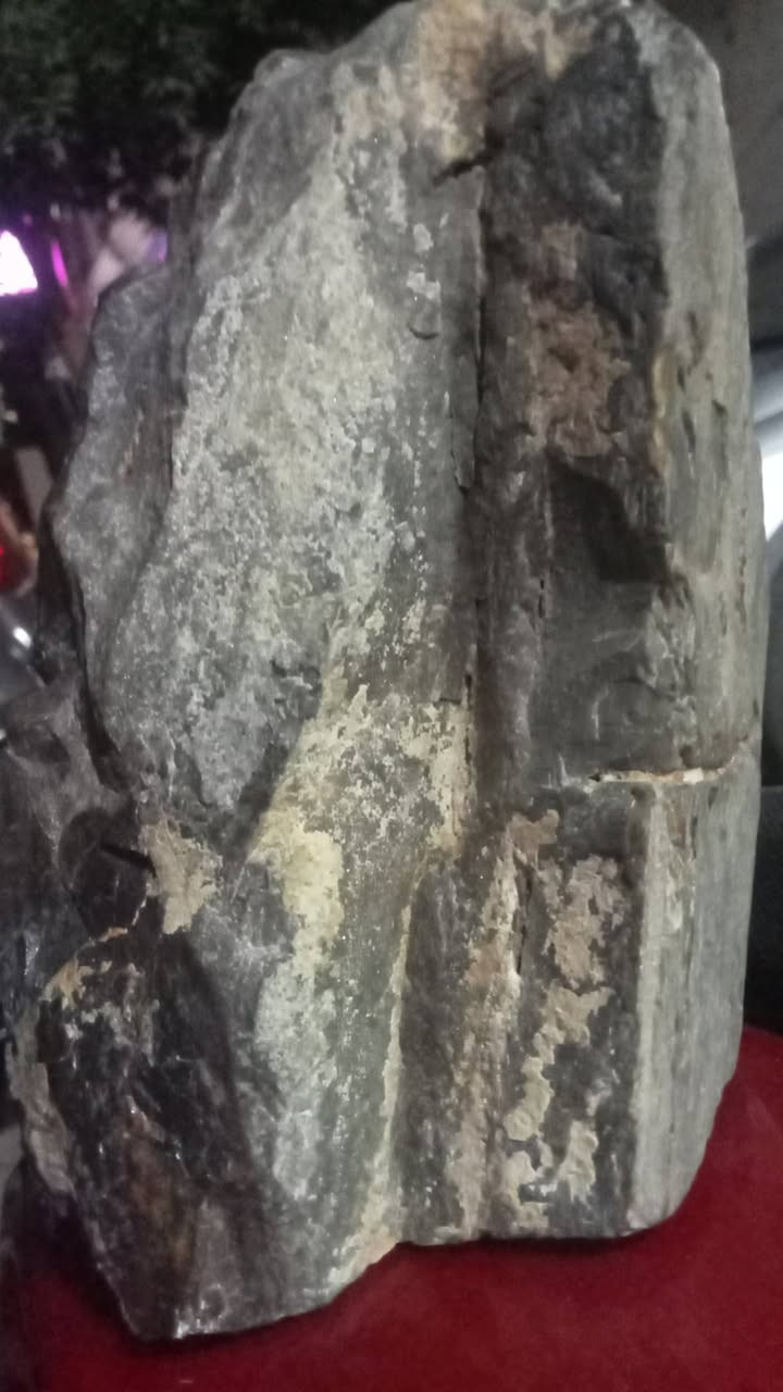 خشب حجري  عمره ملايين السنين


**إذا كنت صاحب هذا الإعلان وتريد حذفه لأي سبب، رجاءا أرسل رسالة إلى الدعم الفني**