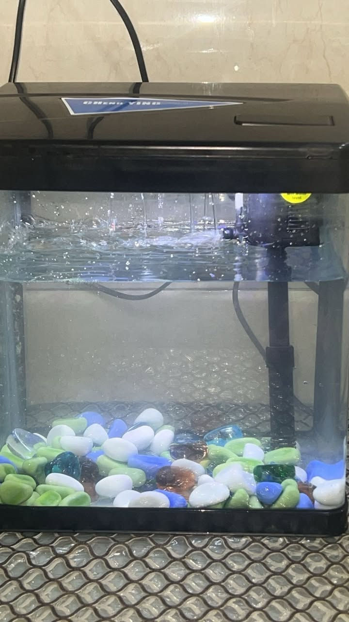 حوض مال سمك حجم صغير فلتر وماطور شغال ماخذي جديد السعر ٢٥ العنوان بغداد صليخ


**إذا كنت صاحب هذا الإعلان وتريد حذفه لأي سبب، رجاءا أرسل رسالة إلى الدعم الفني**