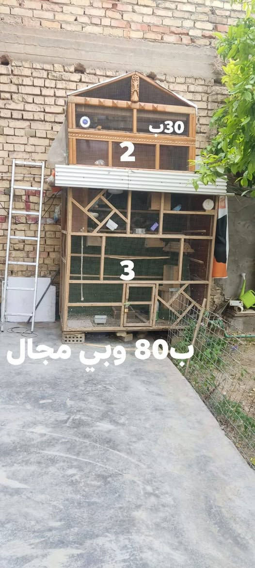 اقفاص  طيور حب كوكتيل جميع الحيوانات يرهم للبيع
قفص رقم 1 

ارتفاع 220 × 220 عرض
نزال 100
مع نافوره شغاله
ثيل اسطناعي قاصات
سقف سندويج
مع فناجس عاديات 13 زوج 
رقم 2 
عرض110 ارتفاع 120 نزال80
رقم 3
عرض 180 ورتفاع 180 ونزال 80
وبي نافوره وثيل وسقف سندويج وارضيه قويه 
سعره 80 وبي مجال 
مكاني الفلوجه الجولان


**إذا كنت صاحب هذا الإعلان وتريد حذفه لأي سبب، رجاءا أرسل رسالة إلى الدعم الفني**