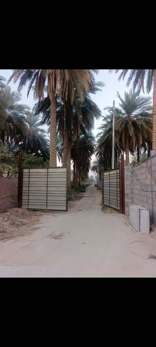 بسبب الوعود الكاذبة قطعة للبيع ومراوس ايضآ المساحه 500 طابو زراعي قرار محكمه سند 25 طريق بغداد كربلاه عمود 262 عن شارع العام 600متر تقريبن لقطعه بيه بيت هيكل تحت البناء 140 خدمات يرهم مراوس أيضآ كامله ومنتجعات قريبه عليه للاستفسار اكثر ***********
