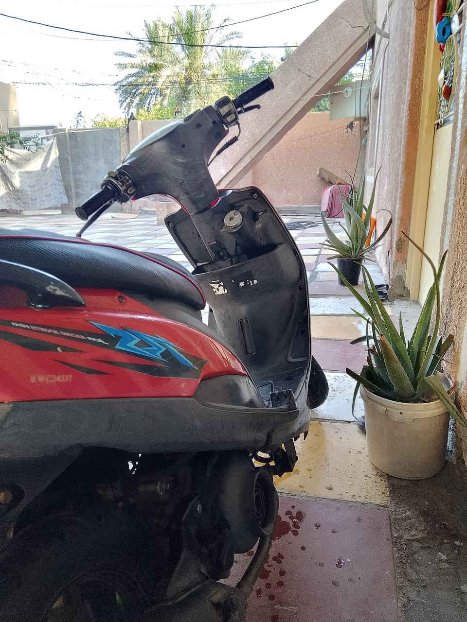البيع 450حله سياحي


**إذا كنت صاحب هذا الإعلان وتريد حذفه لأي سبب، رجاءا أرسل رسالة إلى الدعم الفني**