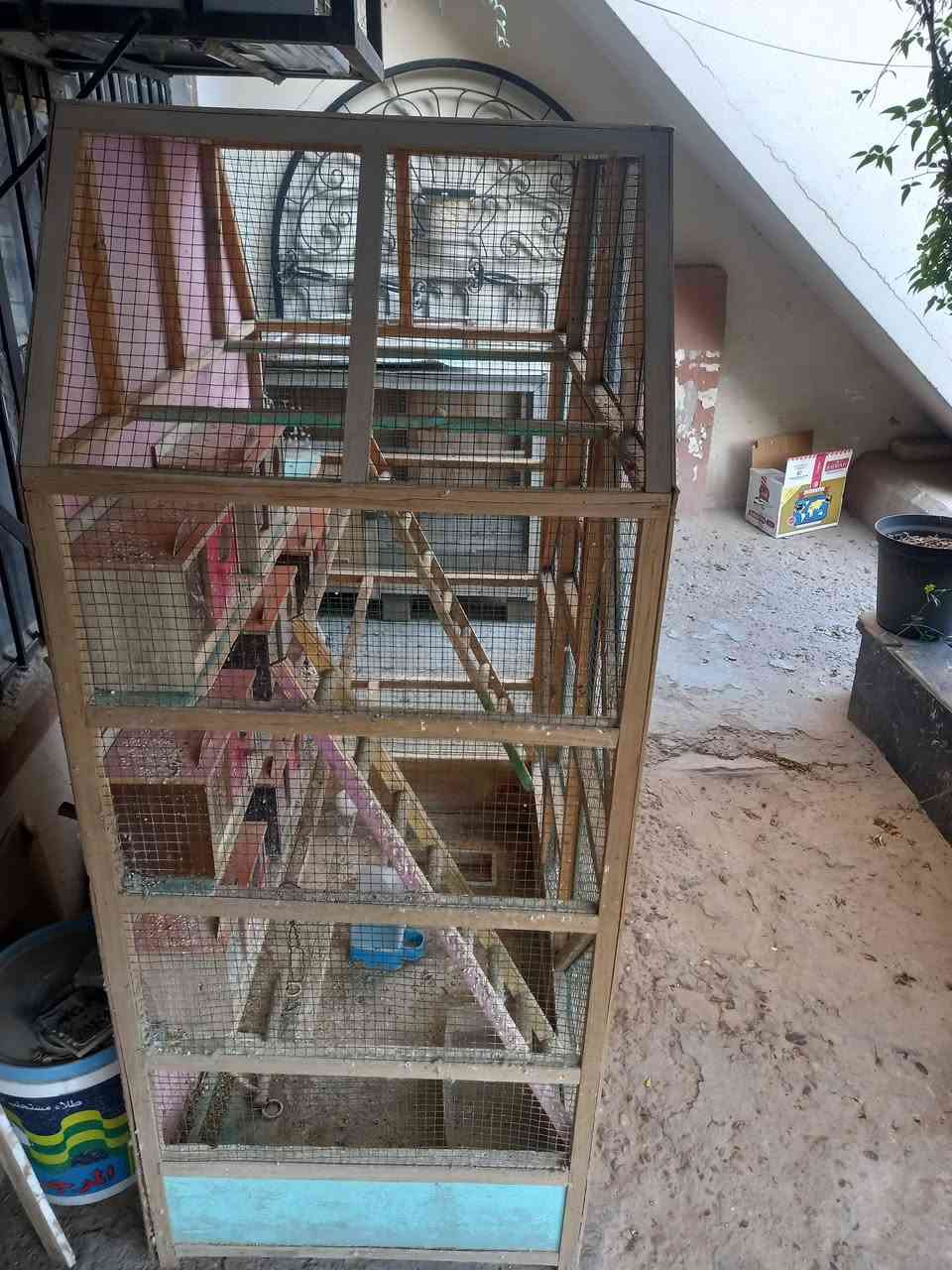 السلام عليكم من رخصت الادمن المحترم متاح قفص للبيع السعر ٧٥ الف  العنوان بغداد.حي العل (***********)
