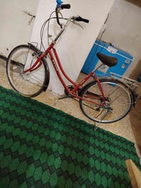 باسكل • حجم ٢٦ • شغالة