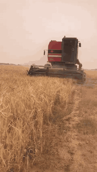 للبيع حاصوده الفين ٣ كله علا وضع الشركه سعره ٢٢ وبه مجال مليون اي استفسار اتصل ***********
