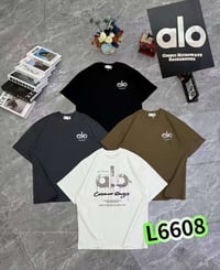 قطن اصلي • شد ١٦ قطعة • مقاسات L-3XL