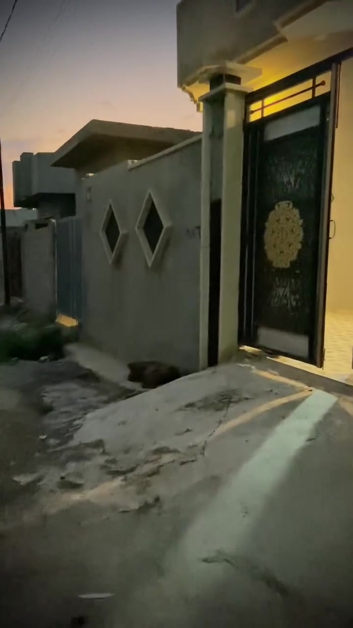 بيت للبيع في حي القوسيات غرب مدرسة غصن الزيتون.   المساحه١٥٠  رقم ***********

