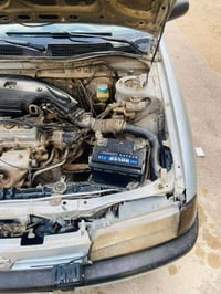 برايمر نيسان • ٩١ • الضلوعيه