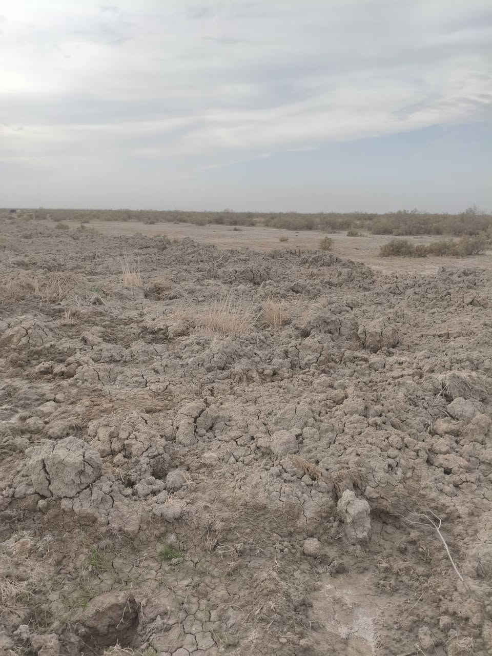 سلام عليكم كاع خمس دوانم يم اليشان مقابيل شارع المشايه  يم المدارس جوه غاد من جامع شبيب يطلع عله طريق ال زاجي وره بيت شالال يقارب كيلوين عنه  هذه رقم ولستفسار *********** سعر خاص
