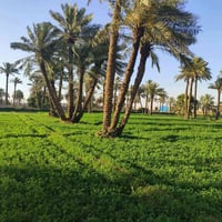 عقارك يمنا بأمان.. وبأسرع وقت! 🏠🔑 ​أهلاً وسهلاً بيكم.. وياكم مكتب الرو...