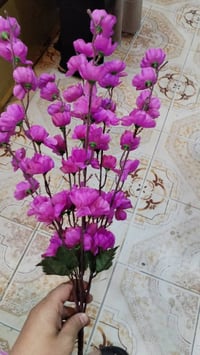 ورد درزن ١٥ الف يوجد خدمة توصيل لكافة المحافظات 07804846429 واتساب
