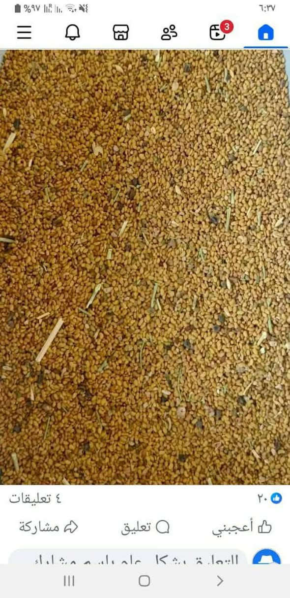 للبيع بذور جت عراقي نظيف سعر الكيلو ١٨ الف المكان السجر ***********
