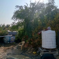 بيت ٢٨٠ • مساحة ٨٧٨م • صب مسلح