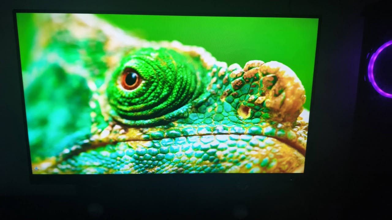 السلام عليكم شاشه pc للبيع الهرتزيه 75hz حجم 24 دقتها 1080p البنل ips الوان الشاشه حلوه متوفر توصيل اكتب سعرك اذا عجبني ابيع مكاني البصره نواب الضباط


**إذا كنت صاحب هذا الإعلان وتريد حذفه لأي سبب، رجاءا أرسل رسالة إلى الدعم الفني**