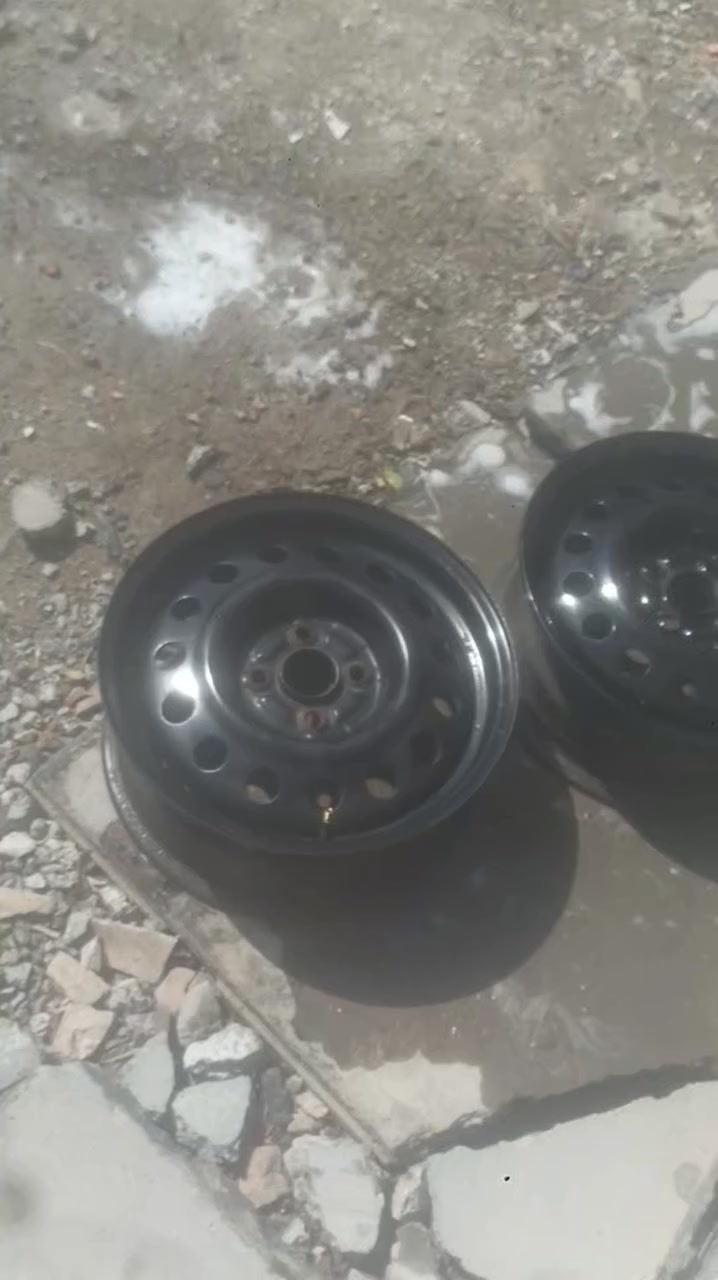 سلام عليكم تخم ويل مال بيوادي اصلي بلادي للبيع او مراوس بويل كب مال بيوادي   رقم الهاتف ***********5
