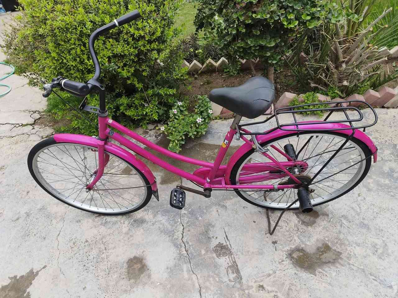 مكاني كربلاء نطي سعرك وخذه


**إذا كنت صاحب هذا الإعلان وتريد حذفه لأي سبب، رجاءا أرسل رسالة إلى الدعم الفني**