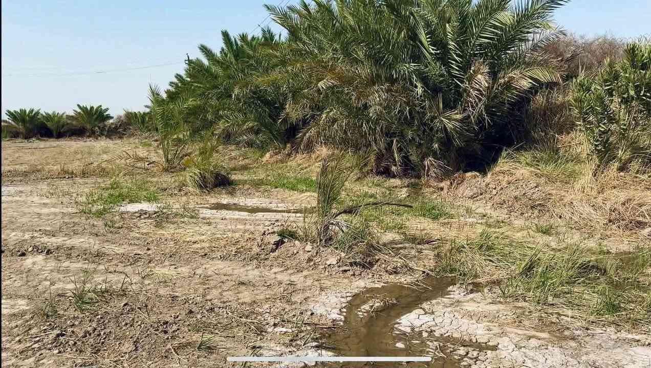 بستان لبيع ٤دوانم وبيت حديث مساحه ٣٠٠ متر استقبال 14طول العرض ٤ونص
صالتين صغيره وكبيره غرفتين مطبخ حار وبارد ومخزن داخلي وحمامات داخليه وخارجيه وسياج طول ٥٠ والعرض ٥٠ خدمات كامله ماء حلو تبليط كهرباء
العنوان فضليه صوب السياحي قرب مدرسه مواهب الرحمان السعر خاض الاستفسار لاتصال ***********
