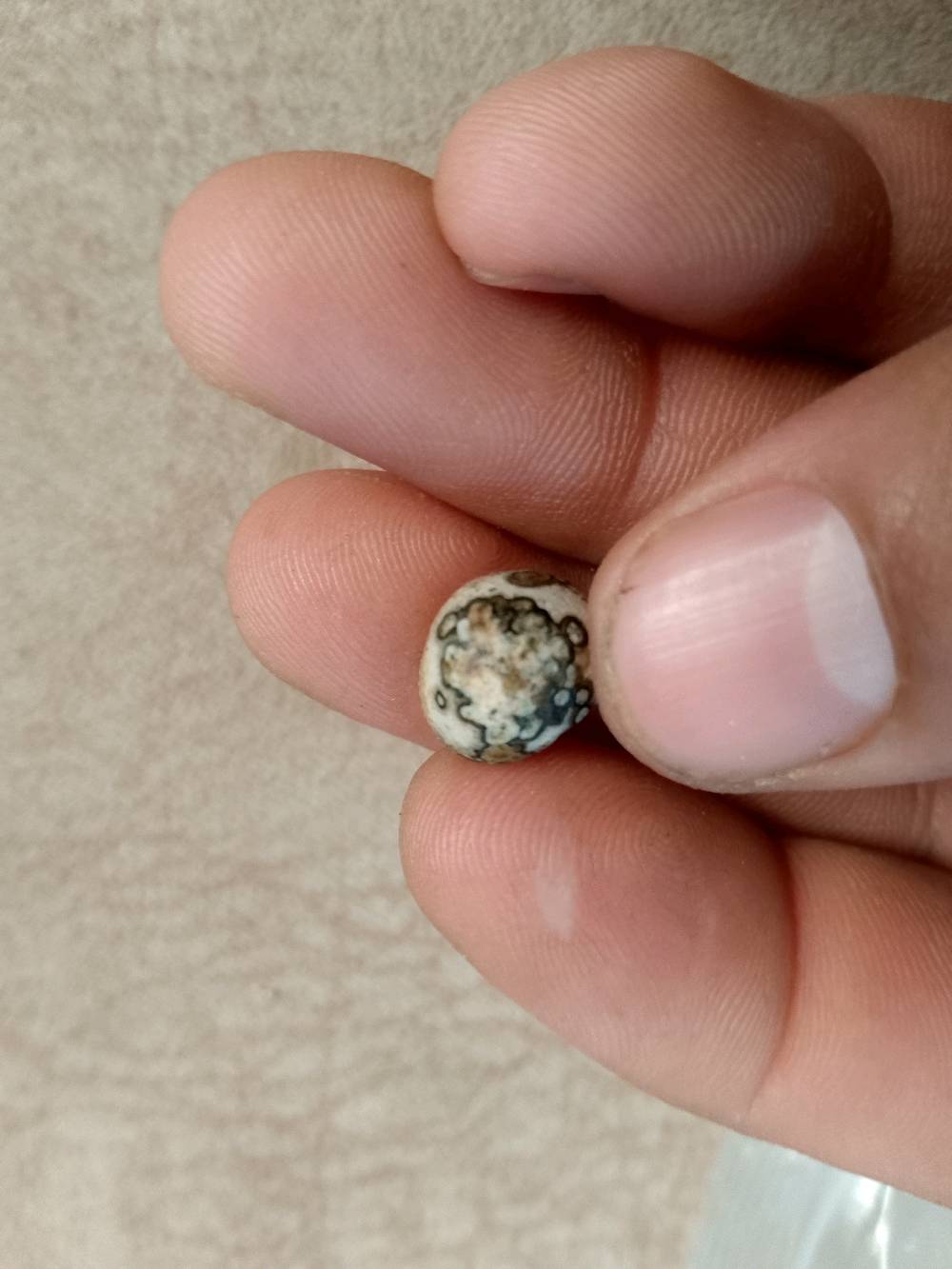 اسلام عليكم احجار للبيع كلمن وسعره بكاني مدينه الصدر 