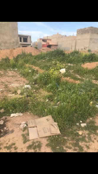 ارض للبيع كندي ثانيه 
قرب مولدة الجود داخل الساتر 
100 متر باص 
بيها كارت بلدية بسمي 
سعرها 28 وبيها مجال للاستفسار الاتصال على الرقم *********** وبي واتساب
