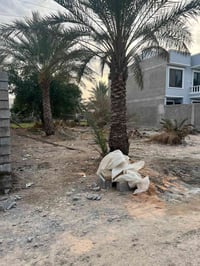 توجد قطعة ارض  سند 25 طابو الدورة  مساحة 400  الواجهة 16  نزال25  المو...