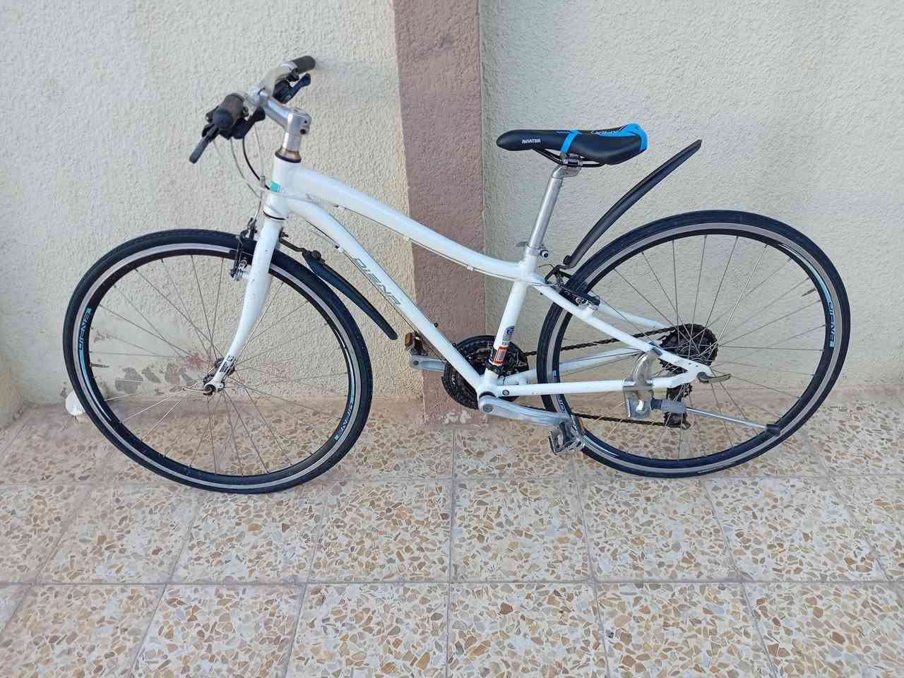 #بـيع_فـقـط 🔹✔
دراجه ماركة #PRECISION_ #بريزيشن ياباني 🇯🇵

حجم 28 (c700)
معدن المنيوم
سستم شيمانوا تورني 8×3
بريكات تكتروا
وياله زوم مختمه
دراجه وضع حاويه كامله ومضبطه كل غراضها اصليه

#السعر 135
#مكاني_جانب_الايسر_حي_فلسطين


**إذا كنت صاحب هذا الإعلان وتريد حذفه لأي سبب، رجاءا أرسل رسالة إلى الدعم الفني**