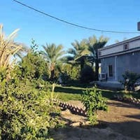 مزرعة ٤ دونم • طابو سند٢٥ • تكريت