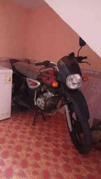 بوكسر • مديل 19 • بصرة