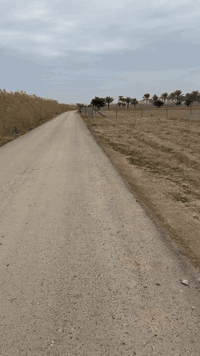 دونم للبيع في الدوره منطقه الزنبرانيه غرب من طريق سايدين مجمع حوراء خد...