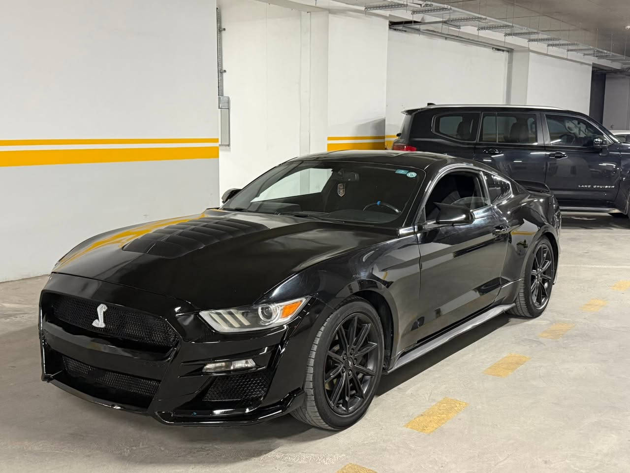 السلام عليكم
🚘موستنك ٢٠١٦ ايكو بوست بريمويم رقم اربيل 
مواصفات بصمة كشن جلد تدفيئة تبريد 
داخل ٧ الوان دوسة ليد 
جاملغين امامى كلير بنيت صبغ باب واحد كلير 
بنيت دعامية مبدل شيلى حتا ويل 
تايرات ويل جديد حدادية جديد 
ماشية ٩٠ رقم سنوى هزة جديد بسمى تحويل ثانى يوم 
كير محرك كهربائى مابى شى سعر 105 ورقة مجال 
مكان سيارة اربيل ***********واتساب
