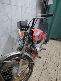 نامة • بدون اوراق