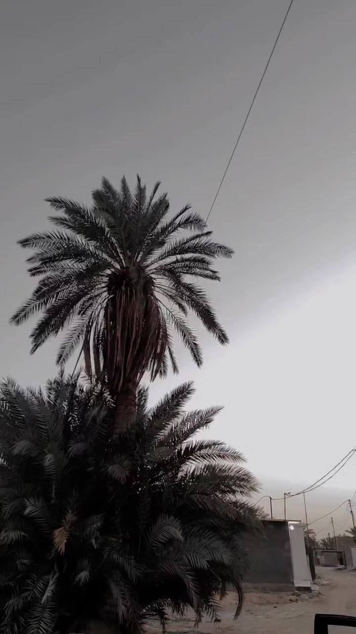 السلام عليكم
كيا اوبتيما 
موديل : 2019 
ماشيه : 70 
لون : اسود 
محرك : 2400
وارد : أمريكي 
ضربته: بلقماره واكعه بلوكعه فقط قطعه صغيره 
نضيفه وحلوه السياره 
السعر خاص او الاتصال بالرقم ..
*********** 
***********
