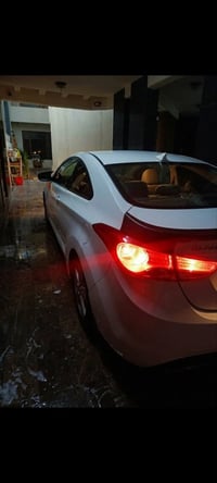 النترا سبورت • ٢٠١٣ • وارد امريكي