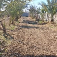 بستان صغيرة 500 متر للبيع طابو زراعي سند 25 تتوفر فيها جميع الخدمات ما...