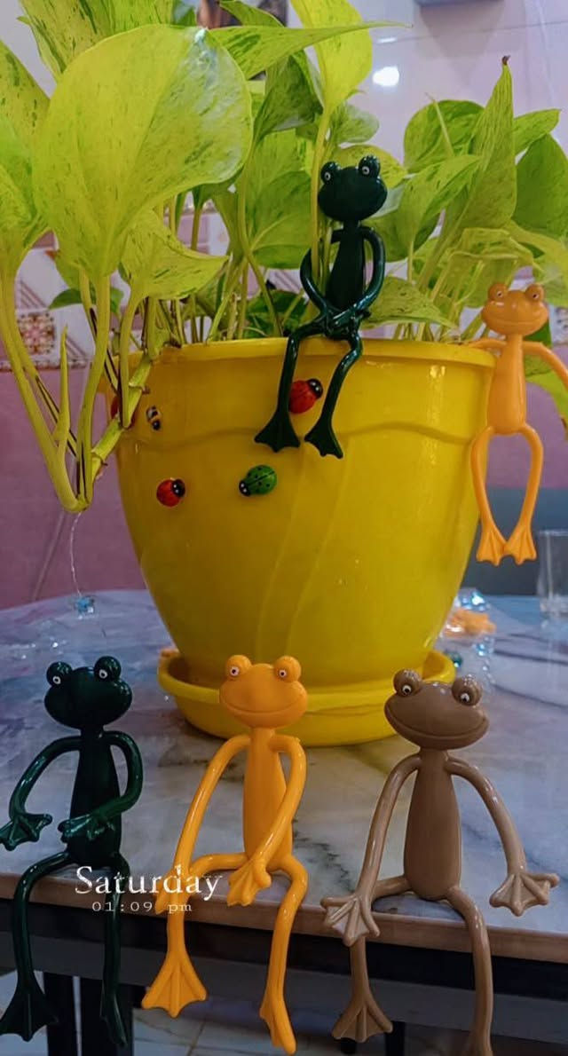 🐼🌿 أم رقية للزهور والنباتات 🌿🐼
✨ خلي نباتاتك تحكي جمالها بلمسة كيوت ✨
متوفر باندا إكسسوارات النباتات 🐼🪴
يضيف شكل مميز وحلو لعصا موسى والنباتات الداخلية 🌱
💚 أشكال جميلة تناسب كل محبي الزرع
🎁 فكرة رائعة للديكور والهدايا
⭐ كمية محدودة لا تفوتكم
🚕 توصيل لجميع محافظات العراق
📲 للحجز والاستفسار واتساب: ***********
#ام_رقية_للزهور_والنباتات
#نباتات #ديكور_البيت #اكسسوارات_نباتات #العراق
