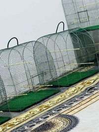 اقفاص بلابل • مقاسات مختلفة • البصرة عشار تميمية