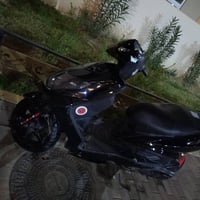 سكنس فحل • مستعجل • بسماية