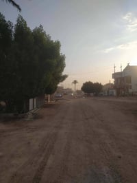 دار ركن • ١٠٠م • طابو زراعي سند25